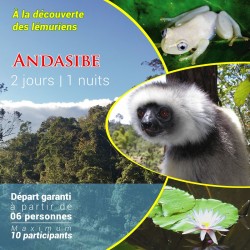 A la rencontre des...
