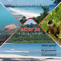 A la découverte de l'Ile...